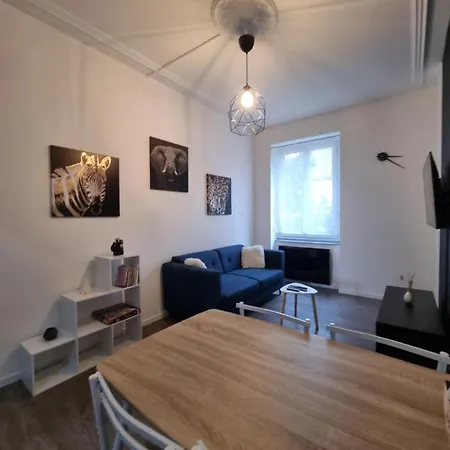 Chaleureux 2 Pieces Avec Jardin - Hyperproximite Gare Apartamento Mulhouse