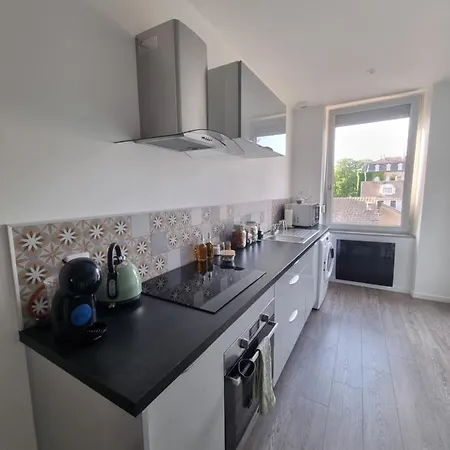 Chaleureux 2 Pieces Avec Jardin - Hyperproximite Gare * Mulhouse